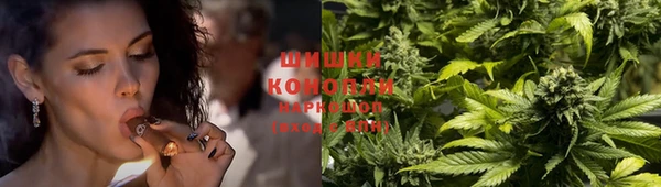 прущие крисы Покачи