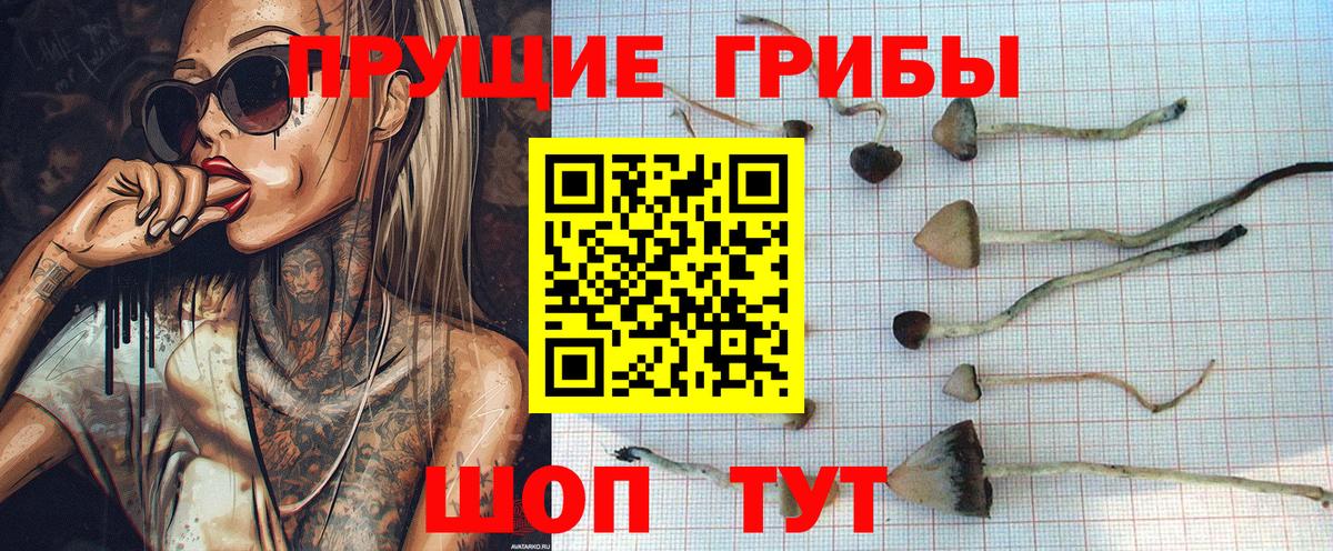 Дмитров  Псилоцибиновые грибы Magic Shrooms  Галлюциногенные грибы Magic Shrooms  Вход с VPN 
